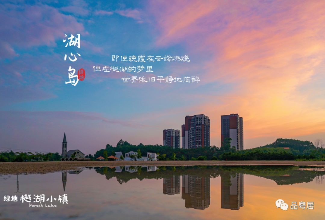 绿地樾湖小镇(图12)